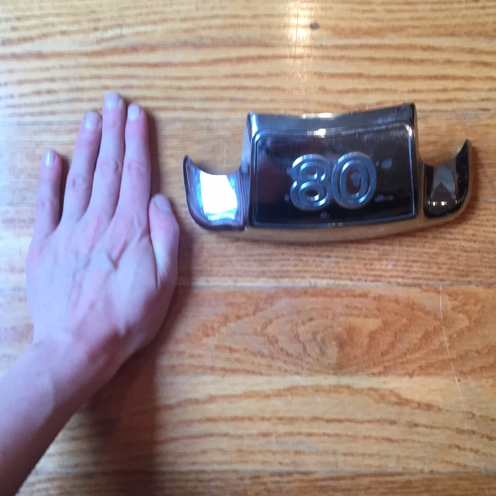Front Fender Trim - Picture 7 of 8